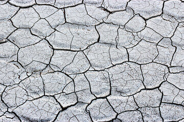 Soil crackes in a special shapes