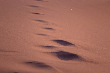 foot prints in moving sand