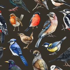 Fototapeta premium Forest bird seamless pattern. Watercolor illustration. Hand drawn wildlife realistic birds. Woodpecker, jay, robin, bullfinch, wren in seamless pattern element. Realistic birds on dark background