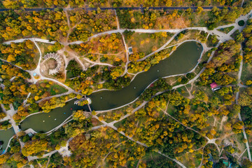 aerial view on a park during autumn time