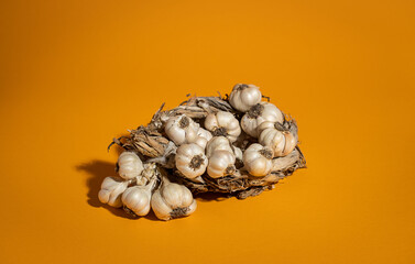 Fragrant Garlic wreath lies on yellow background. Agriculture and farming