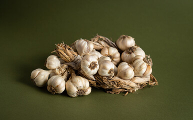 Fragrant Garlic wreath lies on olive background. Agriculture and farming