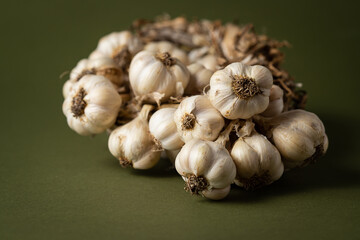 Fragrant Garlic wreath lies on olive background. Agriculture and farming