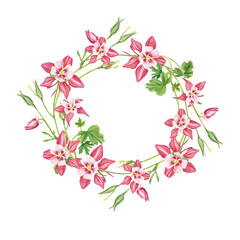 Fototapeta na wymiar Frame pink columbine flowers. Exotic plants . A watercolor set of flowers and leaves, a hand-drawn floral illustration highlighted on a white background. Botanical. Suitable for design, postcards.
