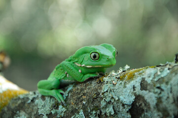 NATURALEZA VIVA