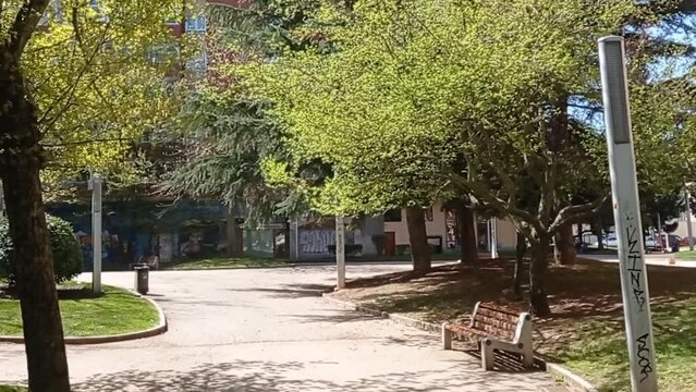 Parques y jardines en primavera. 