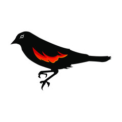 black bird side view vector illustration