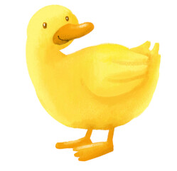 Rainy season yellow duck illustration hand drawn