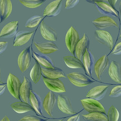 Blue-green leaves on the branches. Watercolor plants. Seamless pattern on gray background.