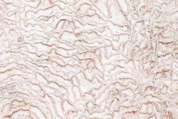 Texture of travertine in Pamukkale. Turkey