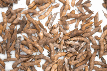 Glycine max. background of unpeeled soybeans. copy space for environment, greenery, beauty and natural.