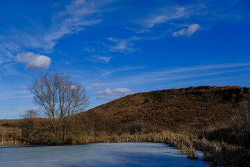 Fototapeta premium lake in the woods
