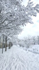 invierno calles y arboles con nieve