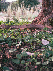Fotografías Luna Guillén Aguirre