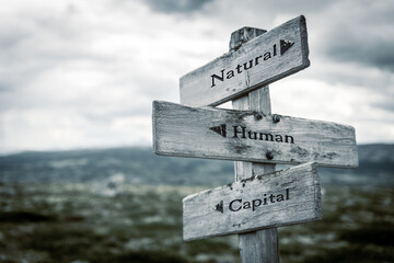 natural human capital text quote written in wooden signpost outdoors in nature. Moody theme feeling.
