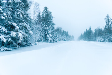 A roadway covered in snow during a blizzard
