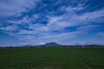青い空と緑の大地、つくば