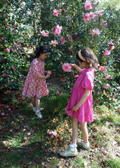 Girls with Camellias 