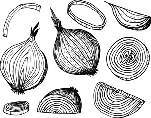Onion outline drawn  icon set. Pile of onion bulbs, bunch of fresh green onions and rings. 