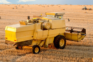 Obraz premium Combine harvester and harvesting in farm
