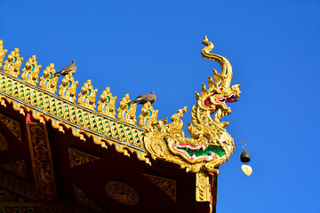 Fototapeta na wymiar A golden serpent on the rooftop of a buddhist temple,Thailand