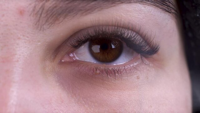 Eyelash extension procedure. Female eye with long false eyelashes after extension. Close-up macro shot of eye in a beauty salon.