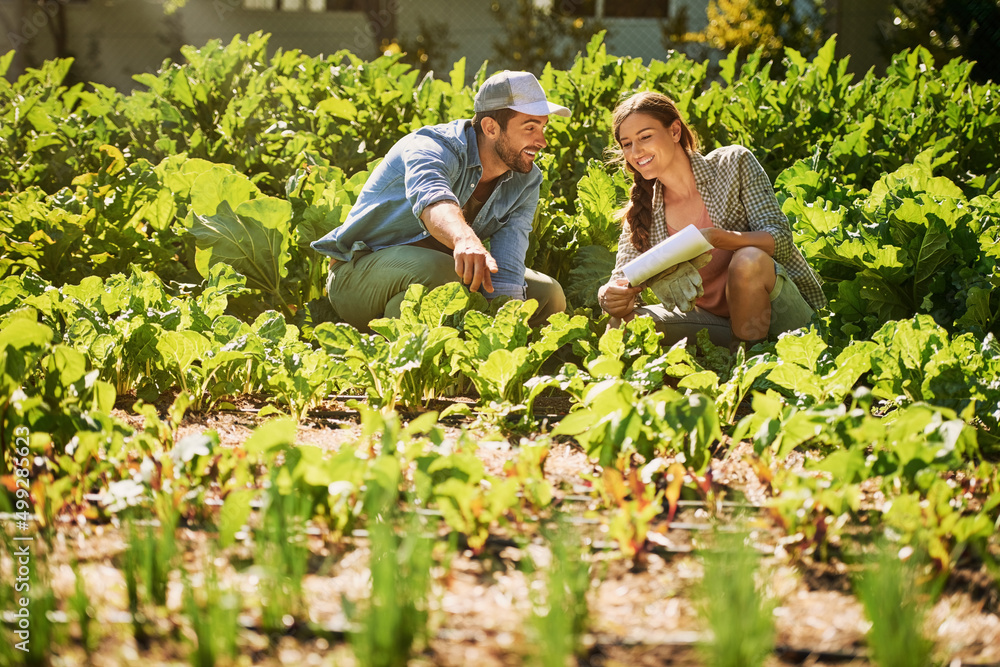 Poster Healthy crops are a cause for excitement. Shot of two happy young farmers working together in the fields on their farm.