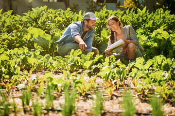 Healthy crops are a cause for excitement. Shot of two happy young farmers working together in the...