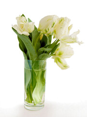 special white tulips posy close up