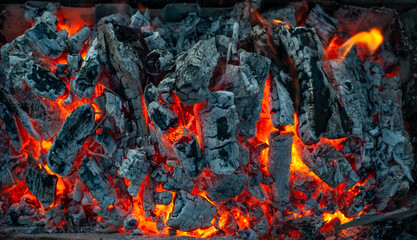 Coals of burning wood on nature in the evening