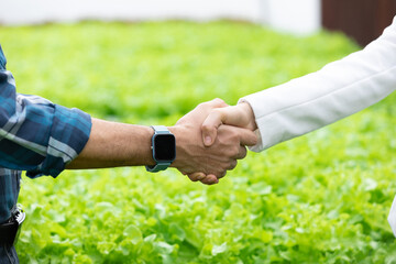 close up two businesspeople making handshake together on green natural background or in hydroponic...