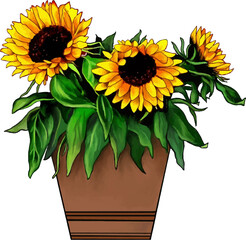 sunflower in a vase