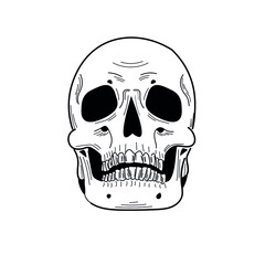 Hand drawn black and white skull. Flat, cartoon, comics style with black solid outline.