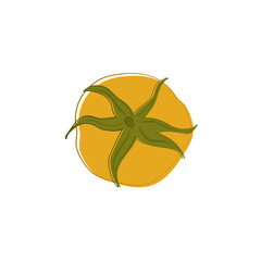 Top view of yellow ripe red tomato, ingredient for salad. Vegetarian food.