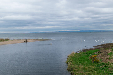 Unidentified men having lunch and watching swan and seagull in water