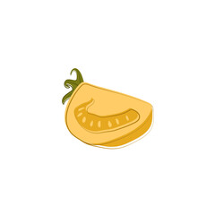 Piece of eco yellow fresh tomato with lines isolated on white background. Vector flat meal. Diet food
