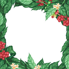 Square banner coffee arabica beans and flowers on branch isolated on white background. Watercolor hand drawn llustration