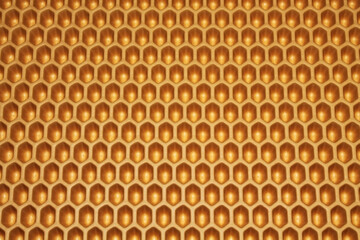 texture yellow cells close up