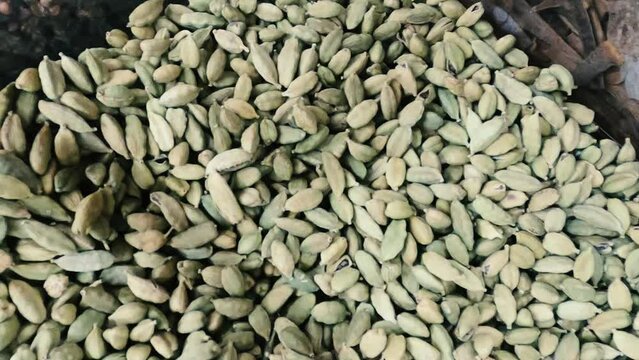 Heap of cardamom bean top view movement.Green cardamom seeds lay flats.