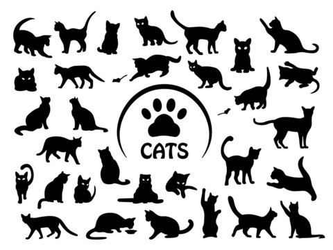 Cat SVG, Kitten SVG, Cat SVG bundle, Cute cat SVG,  Pet SVG,  Pussycat SVG, Сat footprint SVG, Сat eating SVG, Cat Playing SVG, Cat cut files SVG