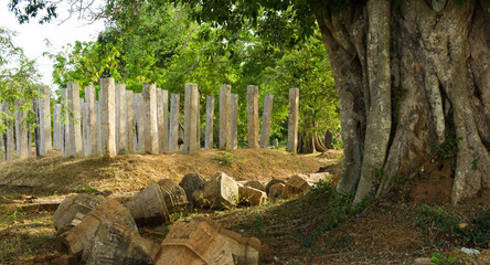 Stone pillars and pillar heads, ruins of ancient city of Anuradhapura, Sri Lanka