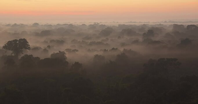 Slow left to right pan of Tambopata National Reserve covered in mist at dawn.