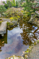 Reflections In A Pond