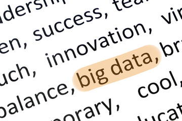 Fototapeta premium Words big data undelnines among other words printed on white paper. big data is structured and unstructured data of huge volumes and significant variety, efficiently processed by horizontally