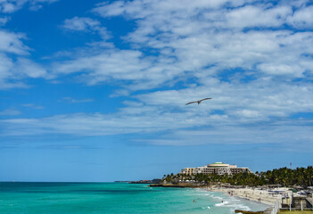 The most beautiful view in the Atlantic ocean. Varadero. Pelicans fly over the azure water. Cuba.