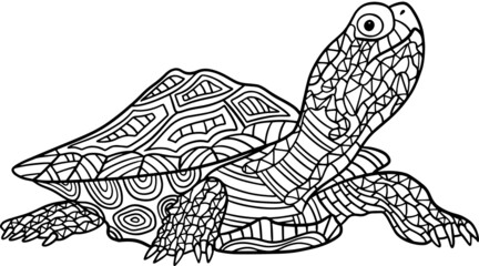 Hand drawn Coloring pages with turtle ,  illustration for adult anti stress Coloring books  with high details isolated on white background. Vector monochrome sketch