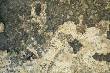 The texture of old worn concrete