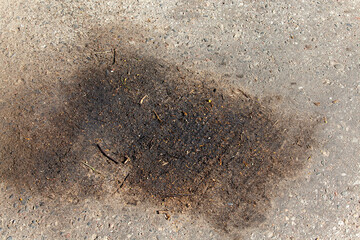 oil and fuel stains on the paved highway