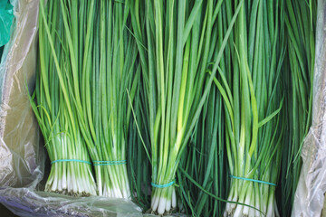 Spring young green onions on a market. Healthy fresh food background.