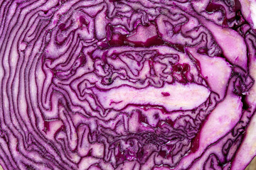 red ripe cabbage lying in the kitchen during cooking